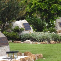 Family rock gardens