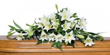 white-lilies-yellow-stamens